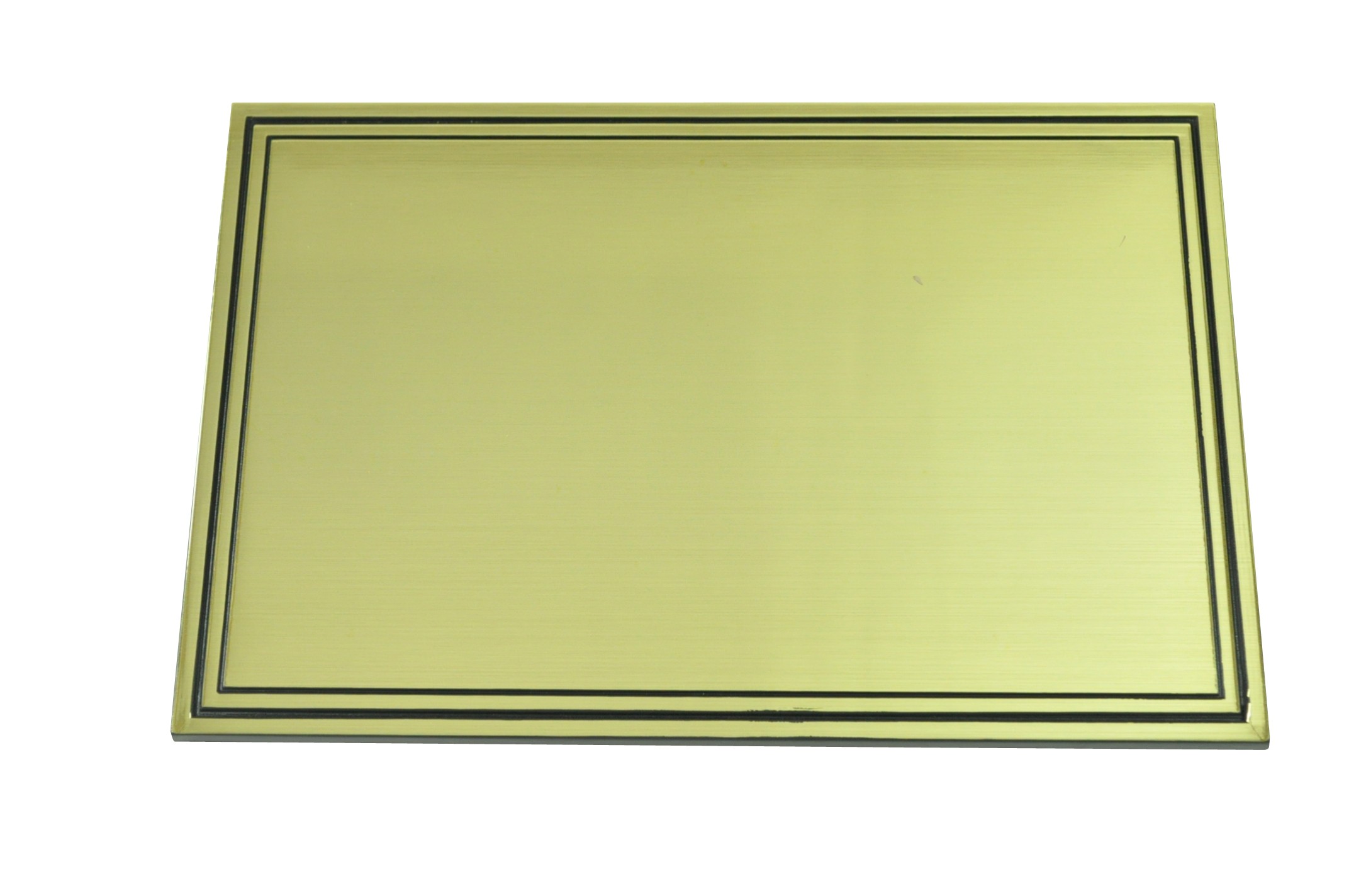 Plaque double filets Or x 100
